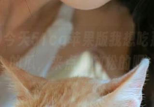今天51cg苹果版我想吃那种轻松的瓜，来点儿放松的吧