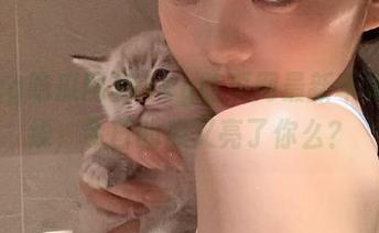 51cg吃瓜网最新苹果版上线，今日的瓜又亮了你么？