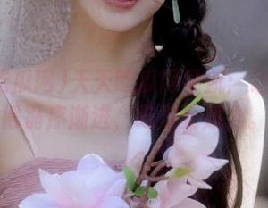 天天吃瓜网导航：让八卦变得循序渐进，吃得更放心。