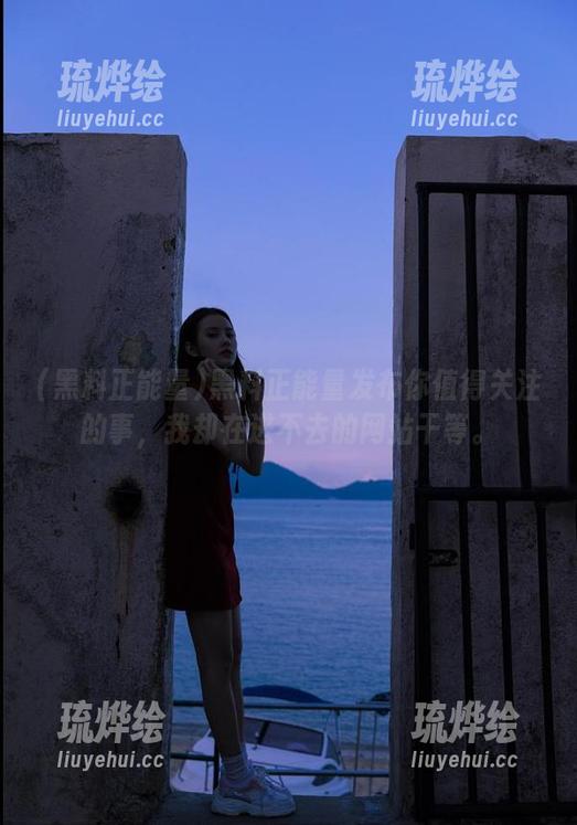 黑料正能量发布你值得关注的事，我却在进不去的网站干等。